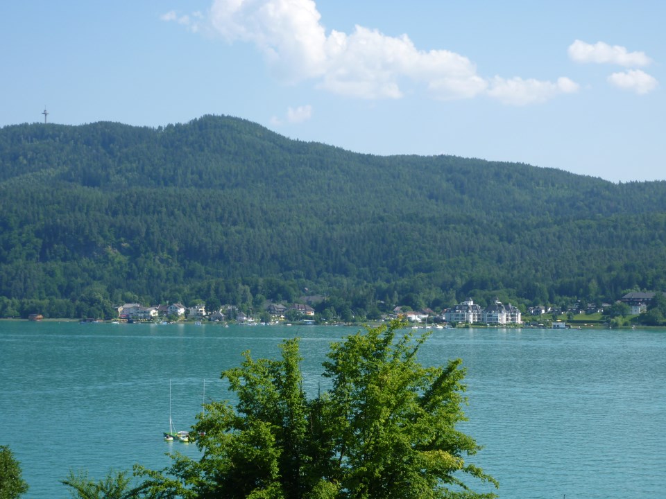 P1010003.jpg