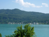 P1010003.jpg